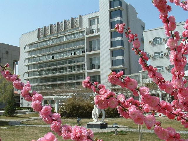中国老太太逼逼网